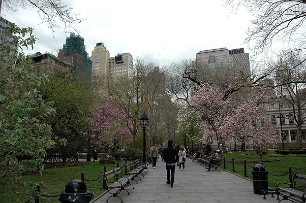 Brooklyn Bridge, Wall Street, Chinatown, Little Italy 011.JPG